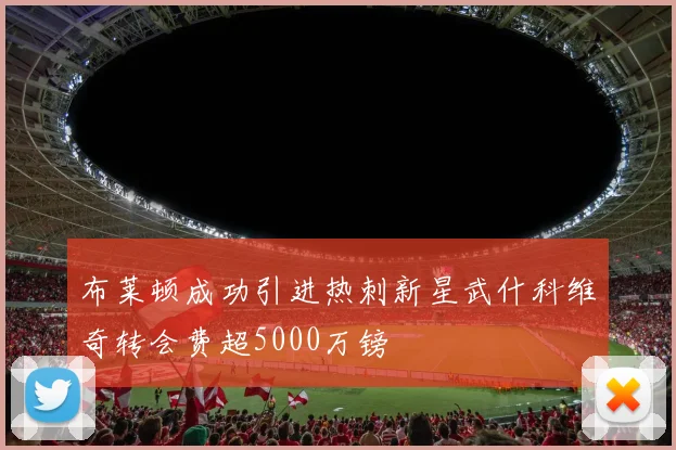 布莱顿成功引进热刺新星武什科维奇转会费超5000万镑