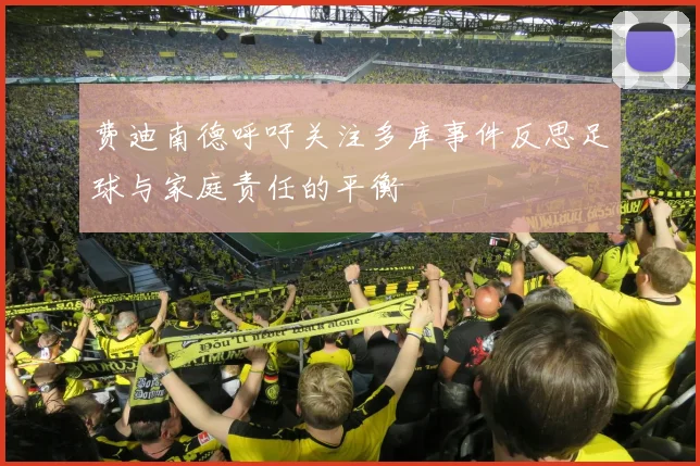 费迪南德呼吁关注多库事件反思足球与家庭责任的平衡